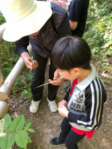 自然教室（ガイド：いわふね自然愛好会 様）